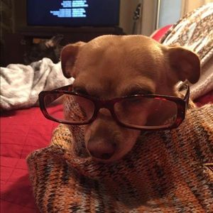 Meet your Posher, Suzanne